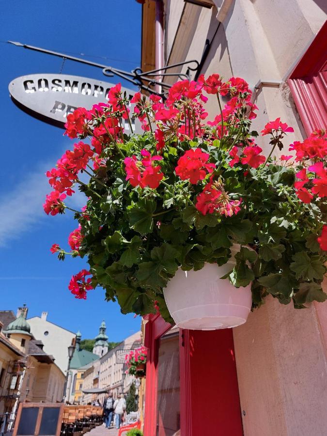 Penzion Cosmopolitan Ii. Banská Štiavnica Eksteriør billede
